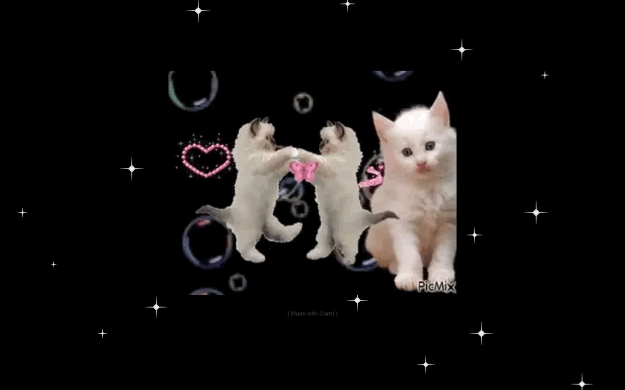 meow